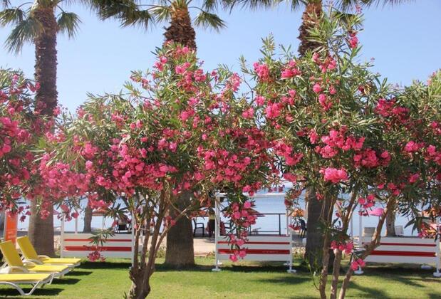 Yılmaz Otel - Görsel 11