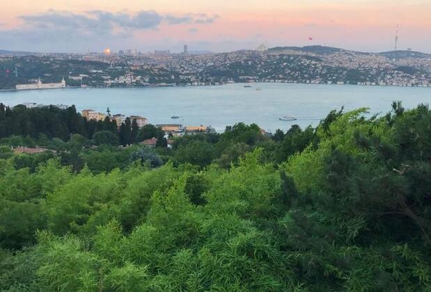 İstanbul’da Ormanlara Giriş Yasağı Başladı mı? Nereler Yasak?