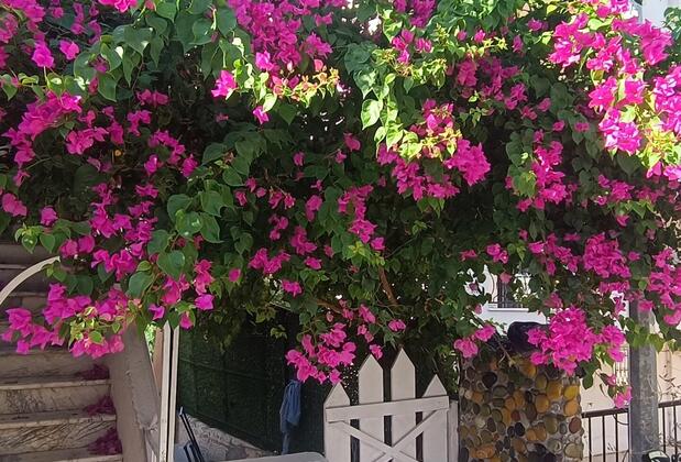 Mutlu Konaklama - Görsel 5