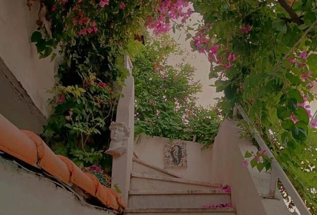 Mutlu Konaklama - Görsel 8