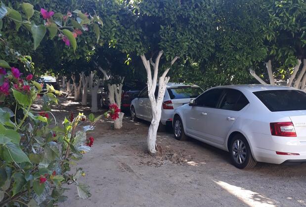 Can Apart Mazı - Görsel 31