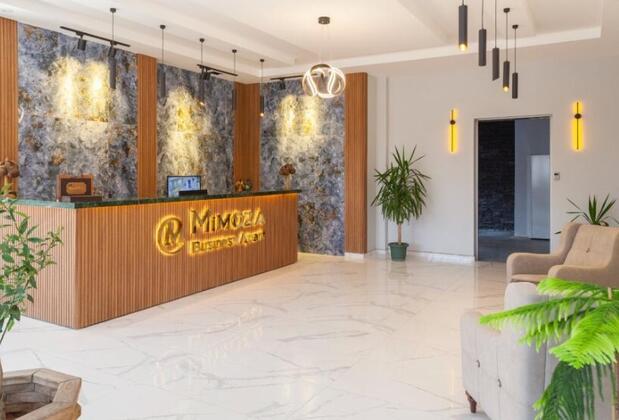 Mimoza Business Plus - Görsel 8