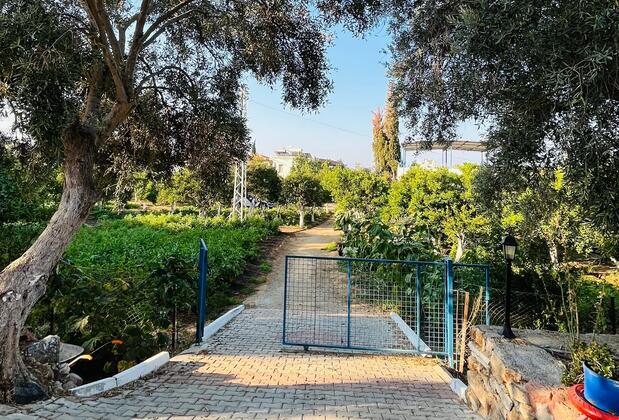 Keman Pansiyon Bodrum - Görsel 6