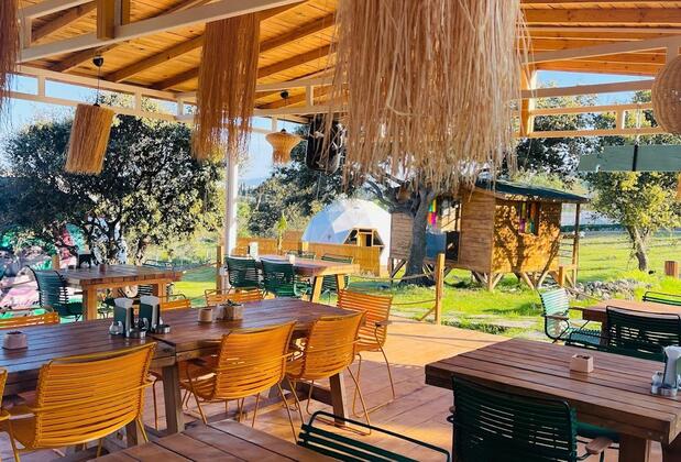 Bodrum Dome Suites - Görsel 10