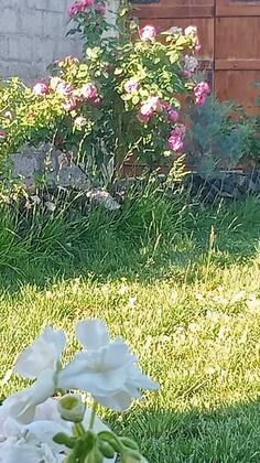 Ulaş Cave Hotel - Görsel 21