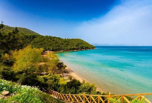 Kuşadası milli park giriş ücreti 2024 Milli Park giriş ücreti nasıl ödenir?