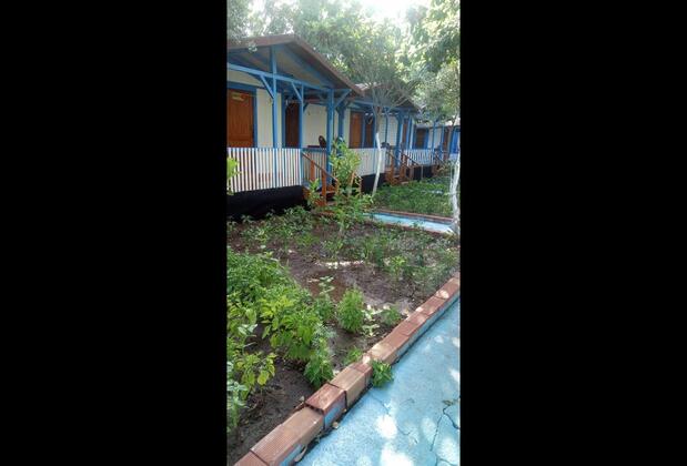 Antalya Adrasan Adem'in Yeri Pansiyon - Görsel 6