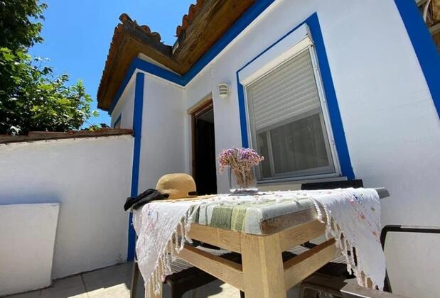 Vita Longa - Görsel 7