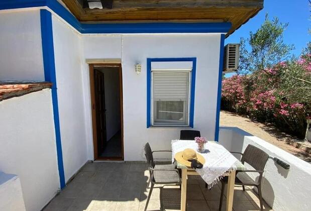 Vita Longa - Görsel 8