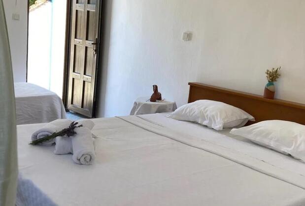 Vita Longa - Görsel 3