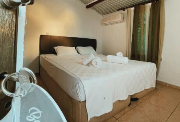 Vita Longa - Görsel 4