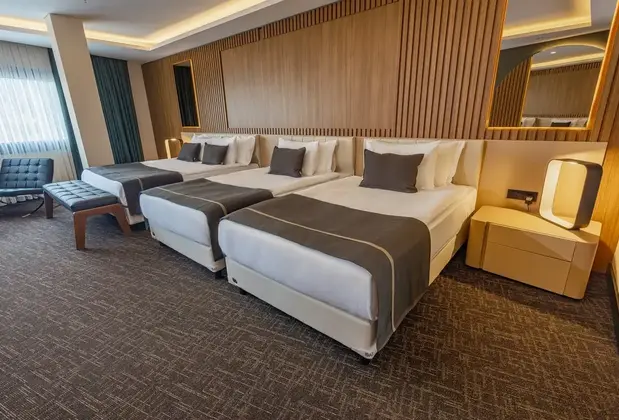 Ft Lotus Thermal Hotel Spa Trademark Collection By Wyndham - Görsel 14