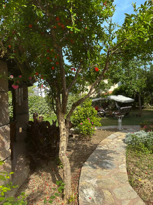 Apart Aisha Dalyan - Görsel 10