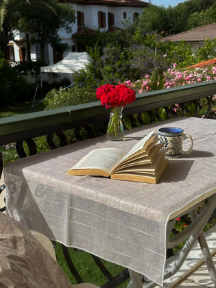 Apart Aisha Dalyan - Görsel 17