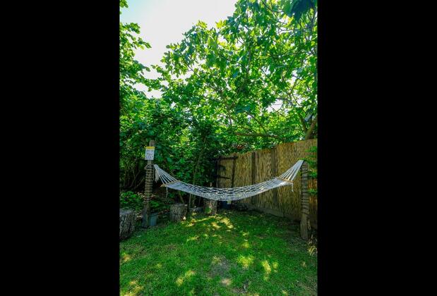 Sapanca Kelebek Vadi - Görsel 18