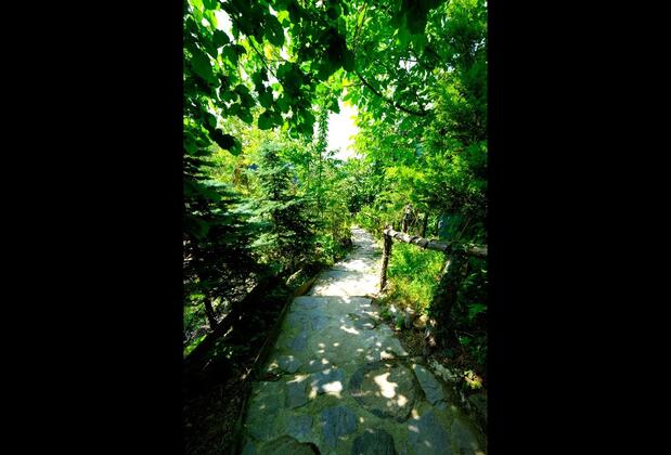 Sapanca Kelebek Vadi - Görsel 20