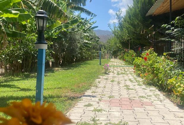 Adrasan Zeytin Gözleme Apart Evleri - Görsel 5