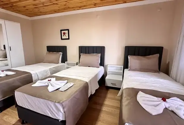 Olive Branch Hotel - Görsel 4