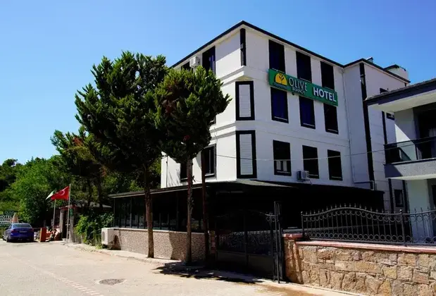 Olive Branch Hotel - Görsel 13