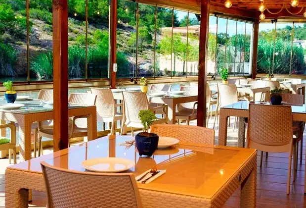 Olive Branch Hotel - Görsel 15