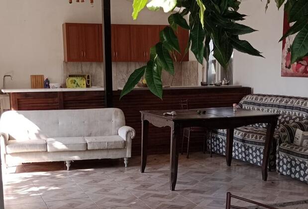 Çıralı Gold Altınkaya Pansiyon & Camping  - Görsel 13