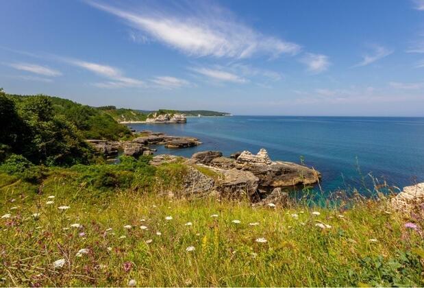 Palamar Koyu nerede, nasıl gidilir? İstanbul'a yakın eşsiz bir rota... Palamar Koyu hakkında merak edilenler