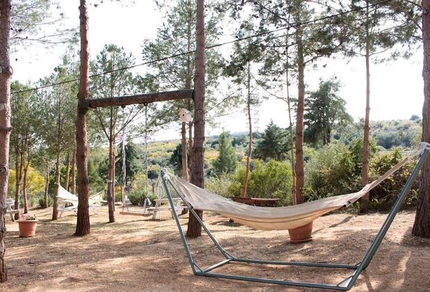 Olbios Marina Resort Otel - Görsel 16