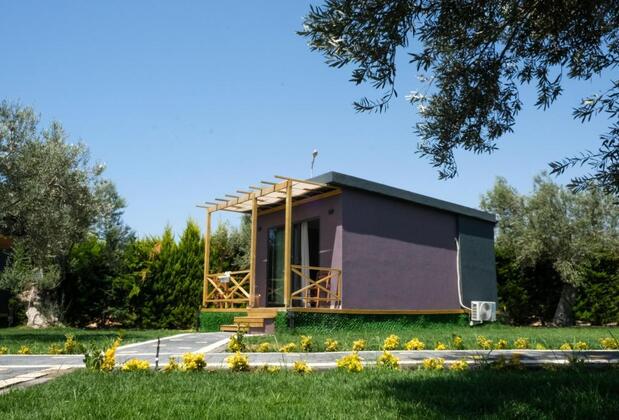 Gargaron Beach Hotel - Görsel 5