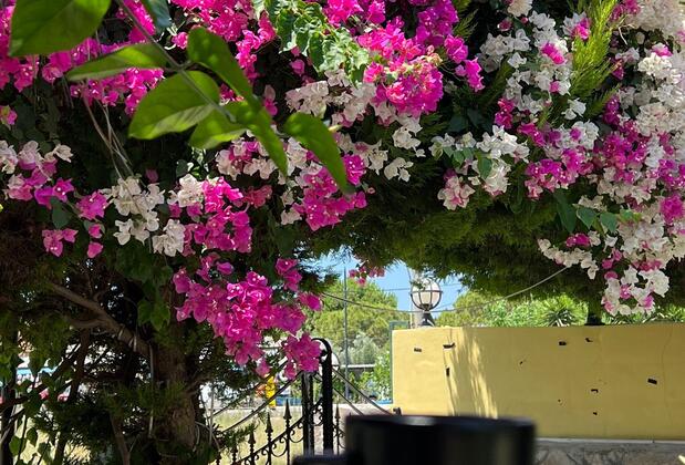 Mandarin Beach Hotel - Görsel 3