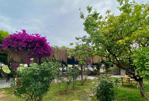 Mandarin Beach Hotel - Görsel 4