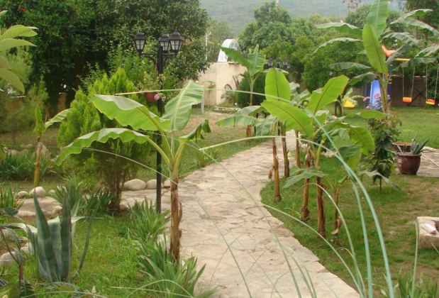 Ares Endam Hotel - Görsel 6