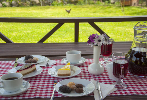 Sapanca Villa Kırkpınar - Görsel 19