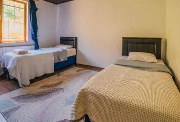 Sapanca Kozv Villa - Görsel 5