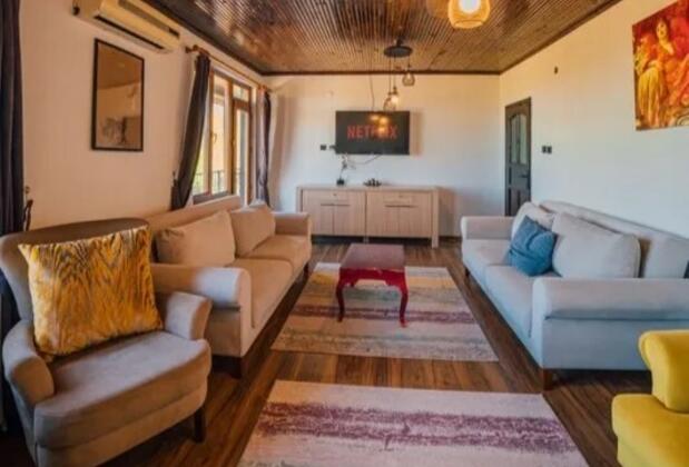 Sapanca Kozv Villa - Görsel 8