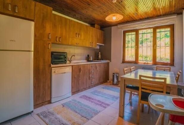 Sapanca Kozv Villa - Görsel 10