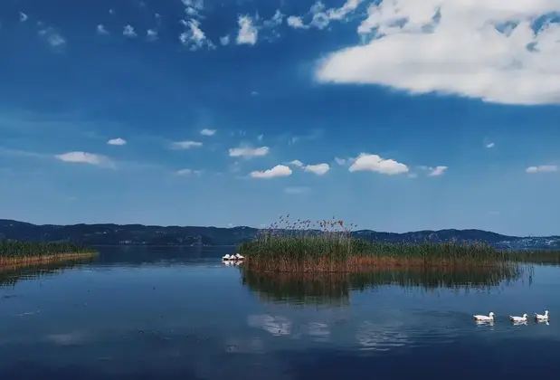 Alcedo Bungalov - Görsel 3