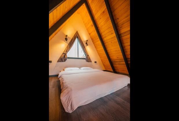 Dark Sapanca - Görsel 3