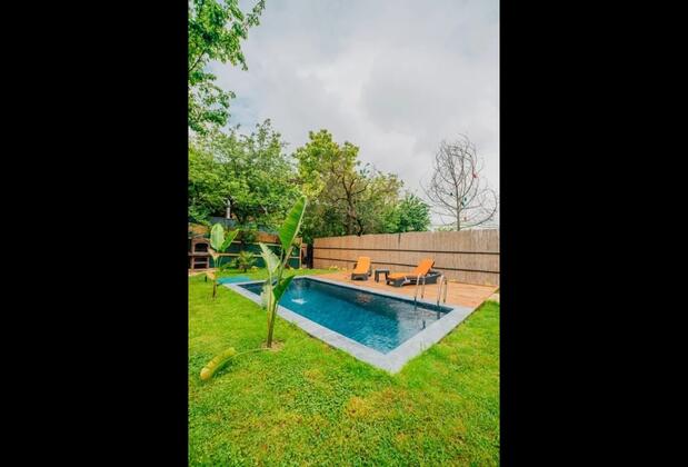 Dark Sapanca - Görsel 13