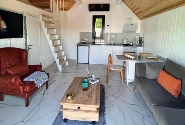 Sapanca Liket Tas Ev - Görsel 7