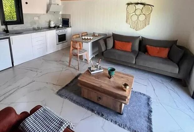 Sapanca Liket Tas Ev - Görsel 6