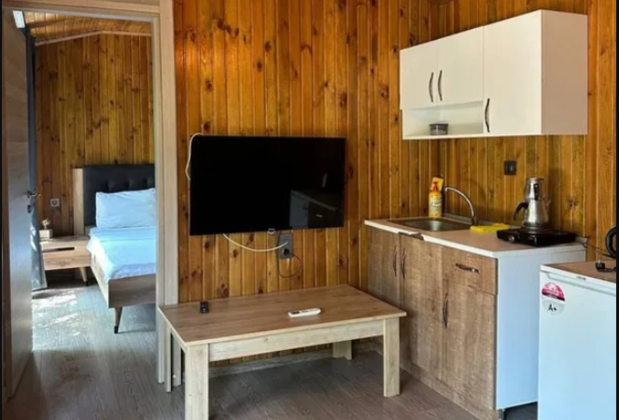 Sapanca Lot 4 Tiny House - Görsel 4