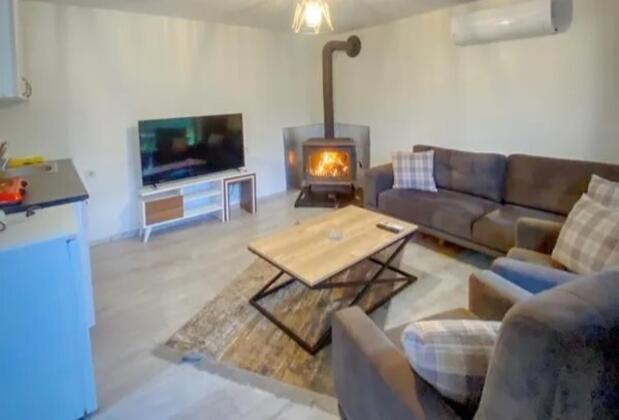 Sapanca Lot5 Tiny House - Görsel 6