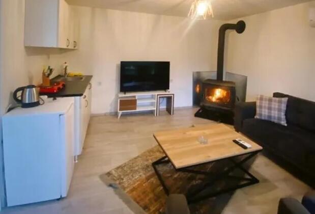 Sapanca Lot5 Tiny House - Görsel 4