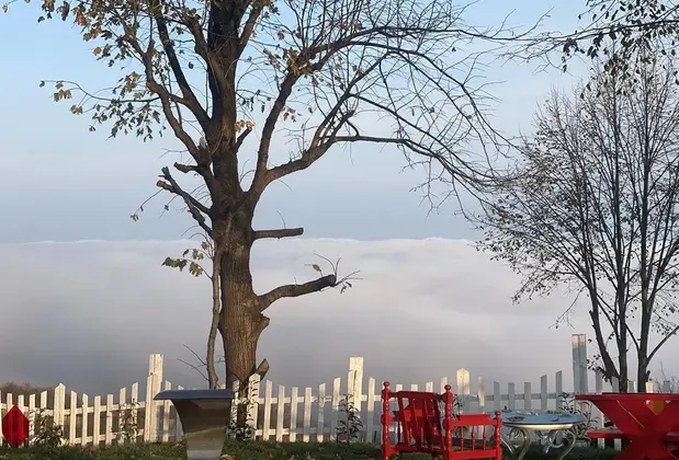 Premium Gold Sapanca - Görsel 4