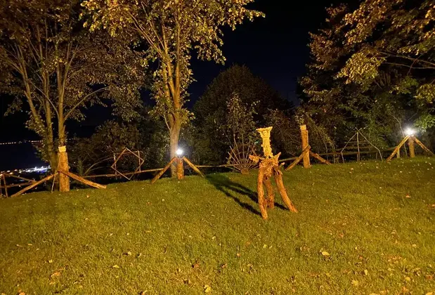 Premium Gold Sapanca - Görsel 5