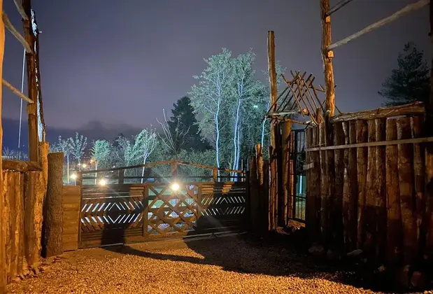 Premium Gold Sapanca - Görsel 7