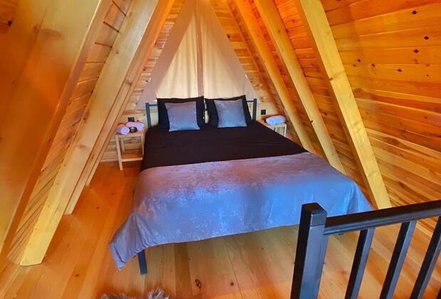 Sapanca Petunya - Görsel 6