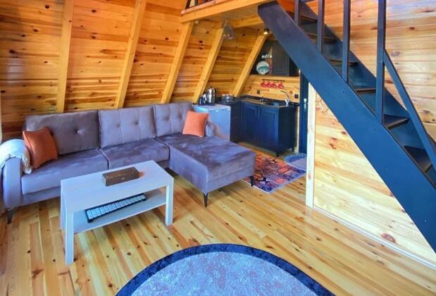 Sapanca Petunya - Görsel 11