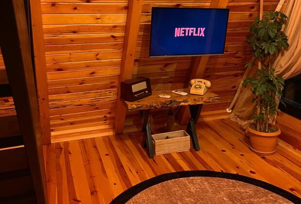 Sapanca Petunya - Görsel 8