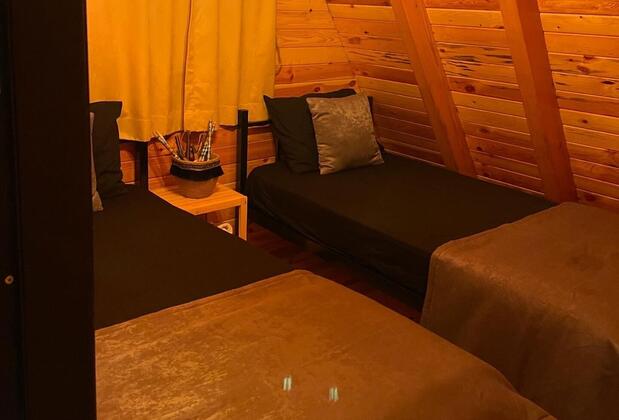 Sapanca Petunya - Görsel 10